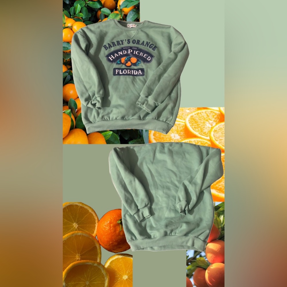 SAGE GREEN SWEATSHIRT : SMALL/MEDIUM- FREE VALLEY